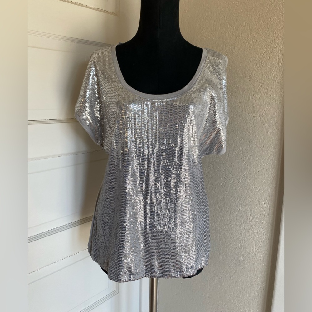 INC -Shades of Silver Small Sequin Summer Top